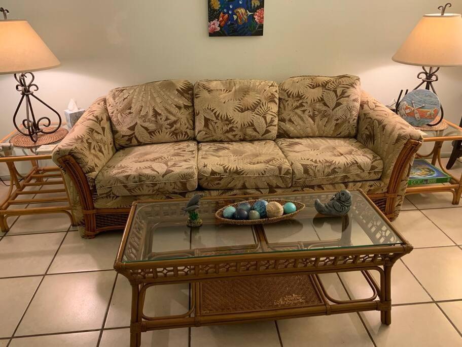 Professor Rousseau'S Manatee Bay Apartamento Crystal River Exterior foto