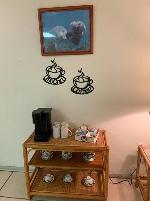 Professor Rousseau'S Manatee Bay Apartamento Crystal River Exterior foto
